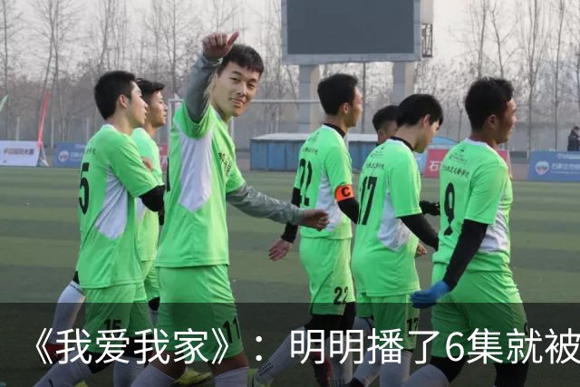 《我爱我家》：明明播了6集就被叫停，为何却成了无法超越的经典