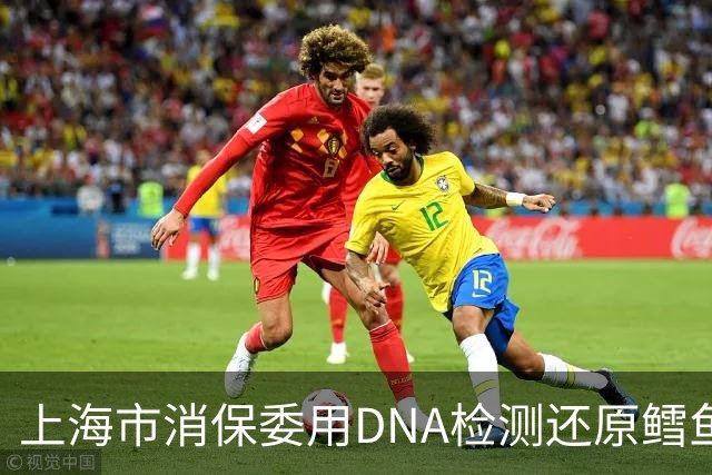 上海市消保委用DNA检测还原鳕鱼营养真相