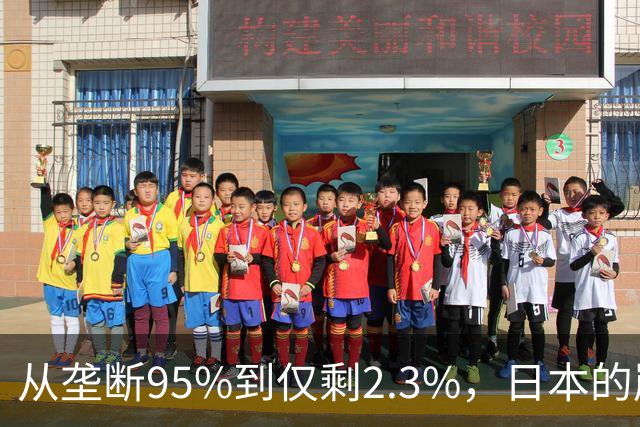从垄断95%到仅剩2.3%，日本的崩溃循环，中国亲手按下终止键