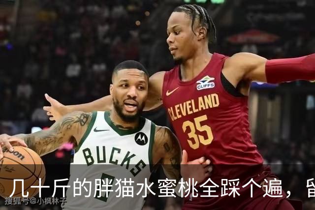 几十斤的胖猫水蜜桃全踩个遍，留下猫脚印，主人：踩桃比踩我还痛！