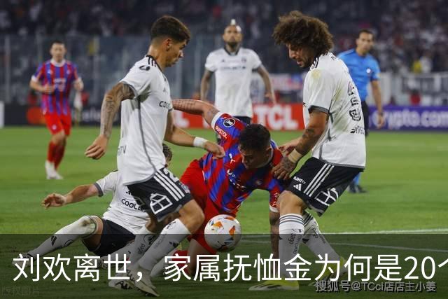 刘欢离世，家属抚恤金为何是20个月基本离退休费？