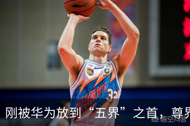 刚被华为放到“五界”之首，尊界就出问题了