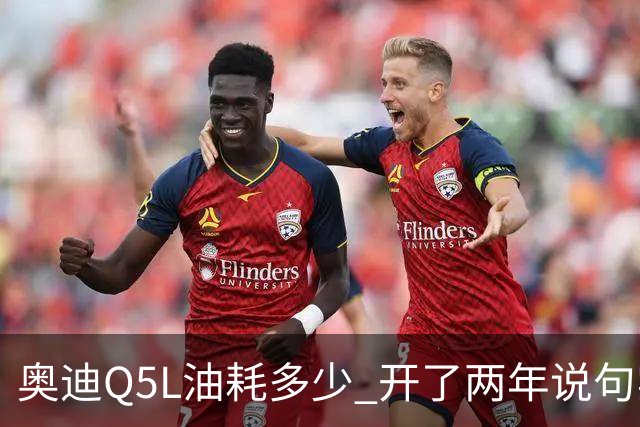 奥迪Q5L油耗多少 开了两年说句实话 家用到底香不香