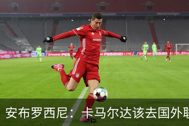 安布罗西尼：卡马尔达该去国外联赛踢球，看看特雷索尔迪表现