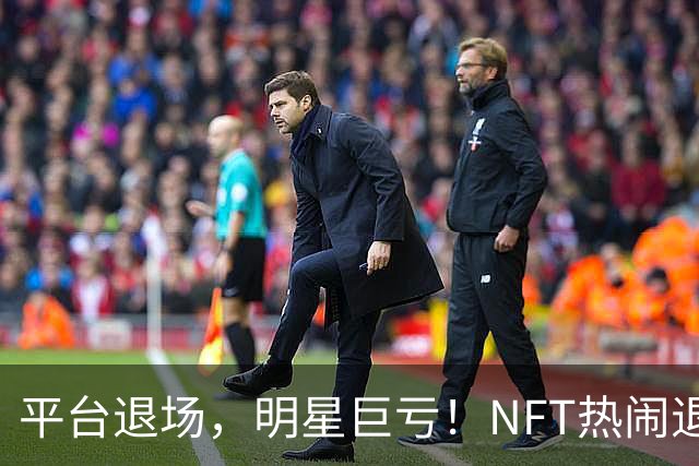 平台退场，明星巨亏！NFT热闹退潮之后谁在裸泳？