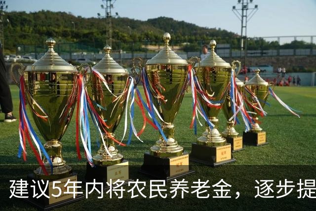 建议5年内将农民养老金，逐步提升到每月1000元