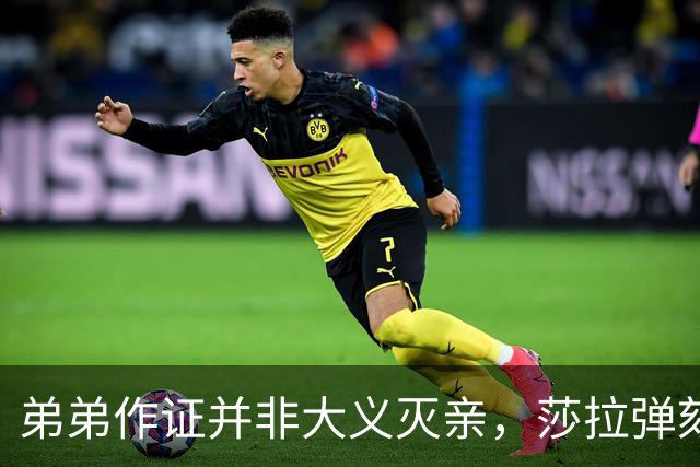弟弟作证并非大义灭亲，莎拉弹劾案关键在一票之差？