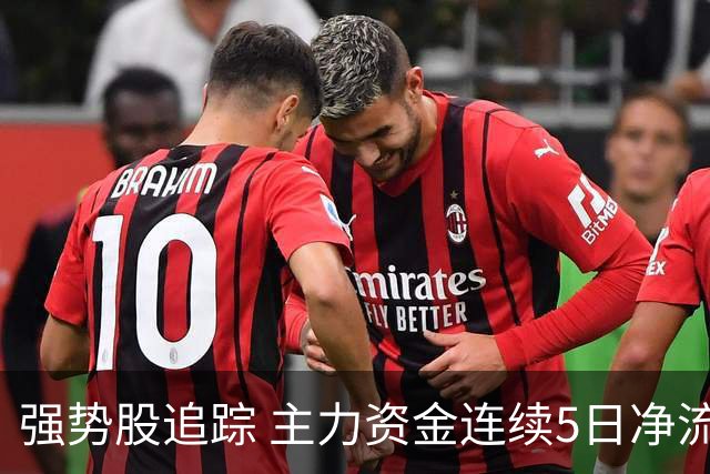 强势股追踪 主力资金连续5日净流入137股