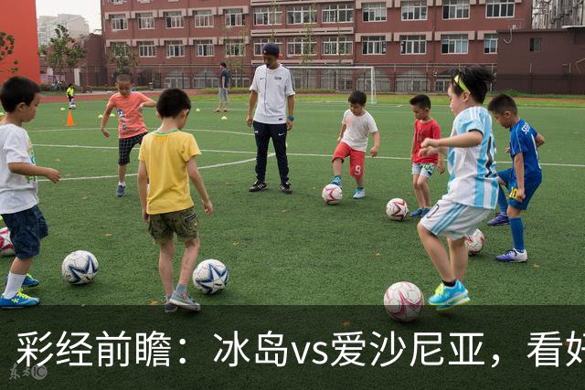 彩经前瞻：冰岛vs爱沙尼亚，看好主队两球优势取胜