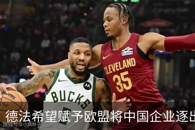 德法希望赋予欧盟将中国企业逐出市场的权力