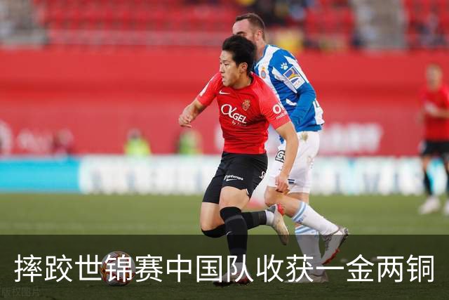 摔跤世锦赛中国队收获一金两铜