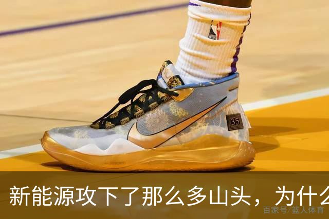 新能源攻下了那么多山头，为什么过不去这一座？