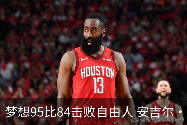 梦想95比84击败自由人 安吉尔·里斯14投7中得到18分10板2助1帽