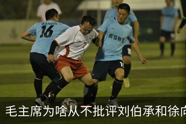毛主席为啥从不批评刘伯承和徐向前，一个不忍批评，一个无需批评