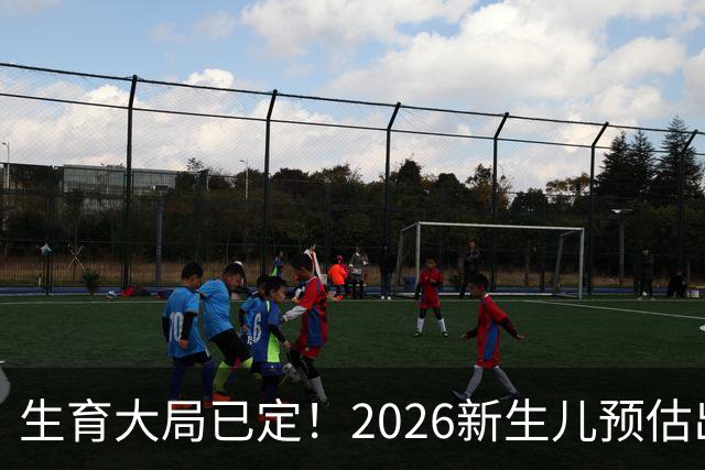生育大局已定！2026新生儿预估出炉，低生育率根本不是年轻人懒生