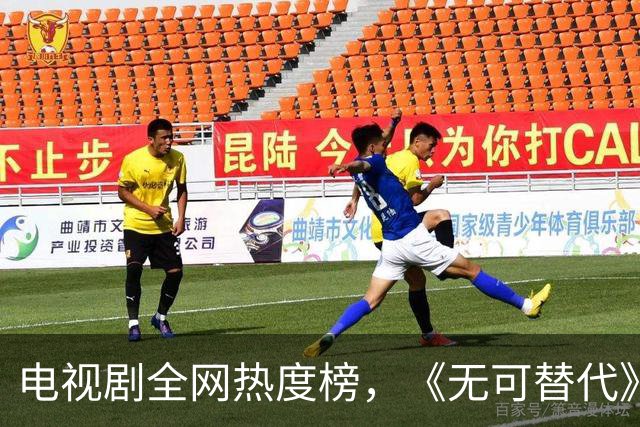 电视剧全网热度榜，《无可替代》跌至第二，第一热度高达79.95