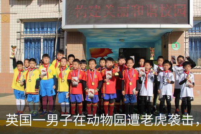 英国一男子在动物园遭老虎袭击，不治身亡，警方：涉事老虎没受伤，事发后仍留在园区内