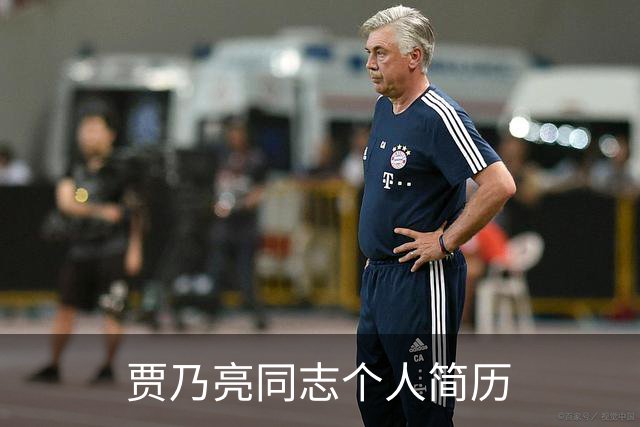 贾乃亮同志个人简历