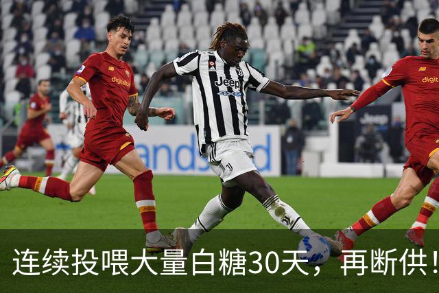 连续投喂大量白糖30天，再断供！国外网红扮“蚂蚁天神”整蛊野生蚁群