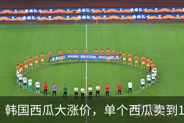 韩国西瓜大涨价，单个西瓜卖到136元