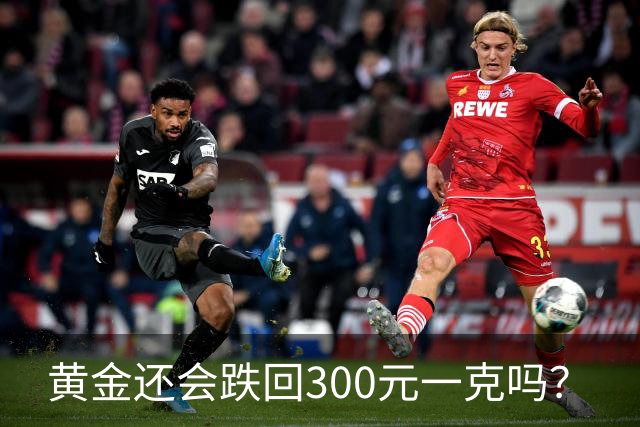 黄金还会跌回300元一克吗？