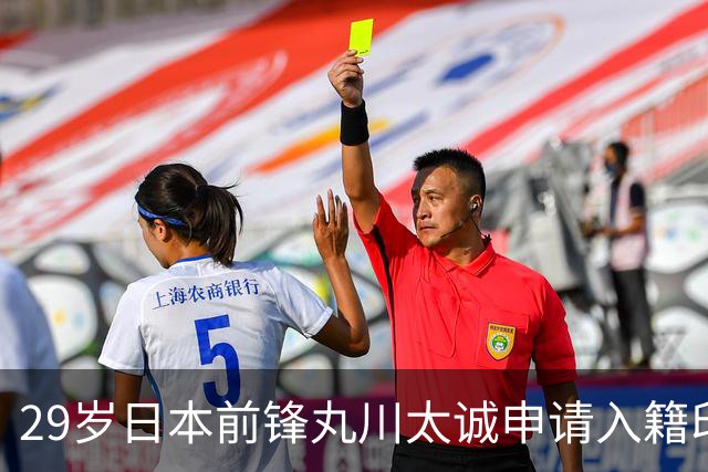 29岁日本前锋丸川太诚申请入籍印尼，并希望入选印尼国家队