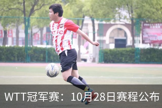 WTT冠军赛：10月28日赛程公布！国乒5大主力首秀，王曼昱等人登场